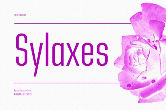 How Sylaxes Transformed My Brand’s Visual Identity