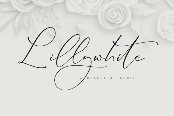 Lillywhite Font for Professional Branding