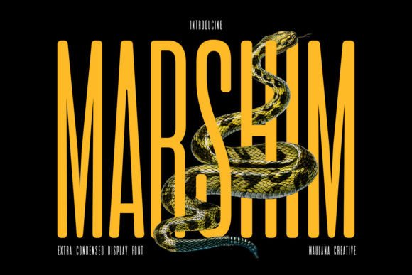 Marshim: A Modern Sans Serif Font for Handmade Creations